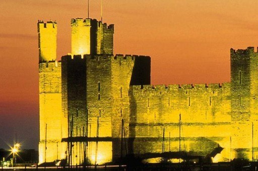 全球最富有的十大摔跤手，第一身家過億曾出演多部電影