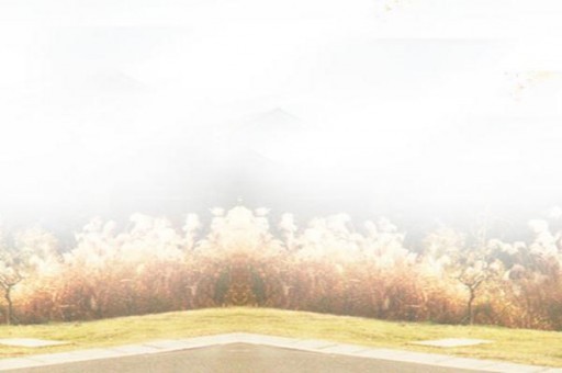 美國十大魔法電影 指環王第一,哈利波特第三 美國十大魔法電影 指環王第一,哈利波特第三