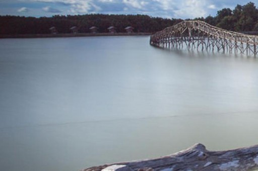 日本十大經(jīng)典電影排名 千與千尋第一，告白第八