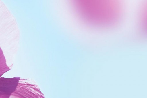 小學(xué)生必看的六部電影，動畫片占一半，第一最小眾