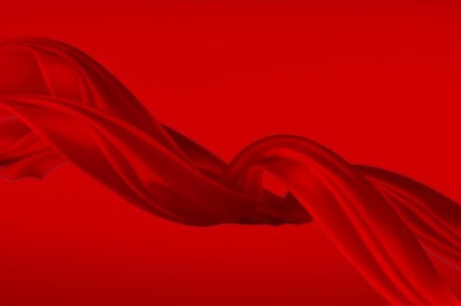 走紅網(wǎng)絡(luò)的動物排行榜 “國寶”上榜 海洋選手也參賽 走紅網(wǎng)絡(luò)的動物排行榜 “國寶”上榜 海洋選手也參賽