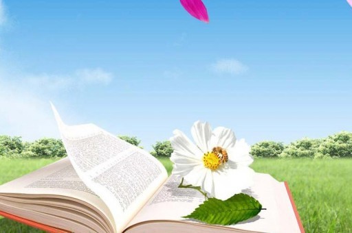 戀愛書籍排行榜前十名：《戀愛寶典》上榜，第二勞倫斯著作