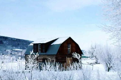 2020十大臥式冰柜名牌排行榜：奧克斯上榜，白雪第二