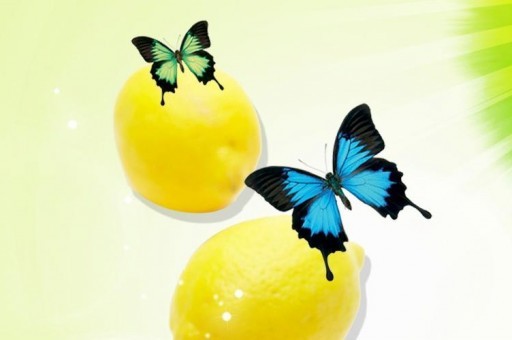 中國養的四只白眼狼國家 尼泊爾上榜,第一慘無人道