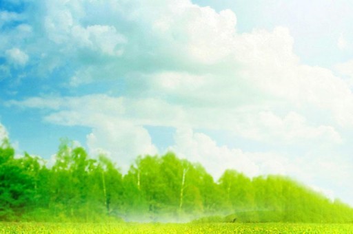 被滾出娛樂圈十大女星2024最新排名前十名對比