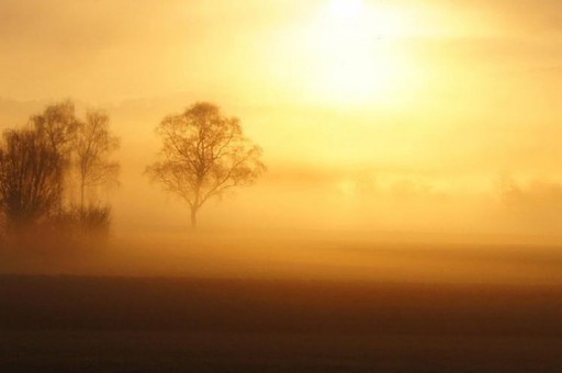 足壇十大中鋒身價2024最新排名前十名對比 足壇十大中鋒身價2024最新排名前十名對比