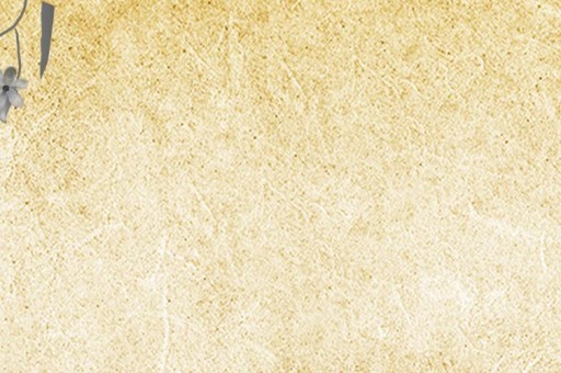 福建文科院校排名前十2024年一覽表