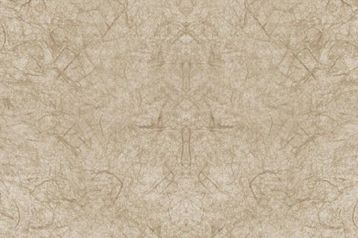 巴黎國際區號（巴黎號碼）