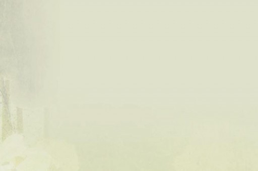 馬爾康十大教育培訓(xùn)機(jī)構(gòu)排名 卓越教育培訓(xùn)中心上榜第一國際化