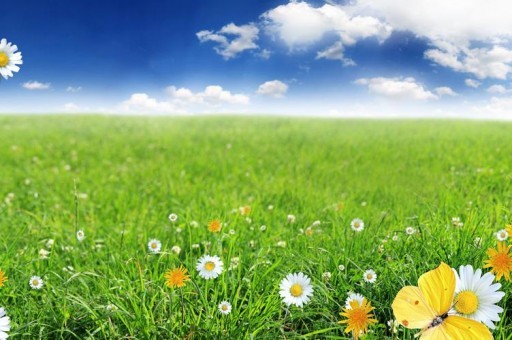 澳洲十大高薪職業:IT人員和教師上榜,第一名是它 澳洲十大高薪職業:IT人員和教師上榜,第一名是它