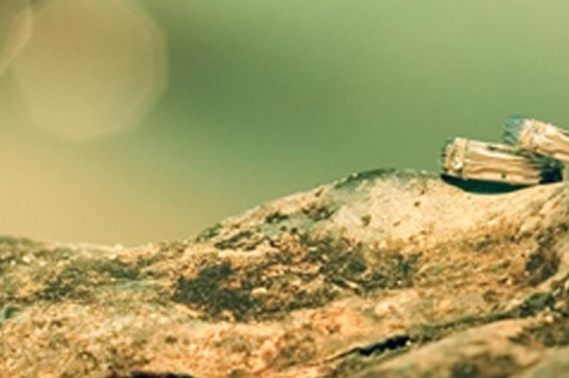 清遠好吃的燒烤排名（清遠好吃的燒烤排名第一）