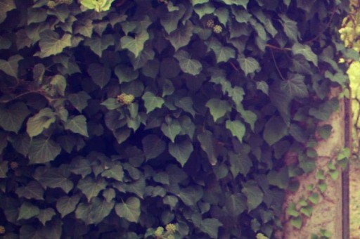 公共事業(yè)管理考研學(xué)校排名（公共事業(yè)管理考研大學(xué)排名）