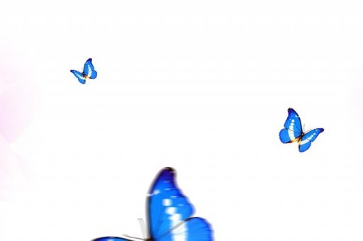 norm是什么意思（尿膽原norm是什么意思）