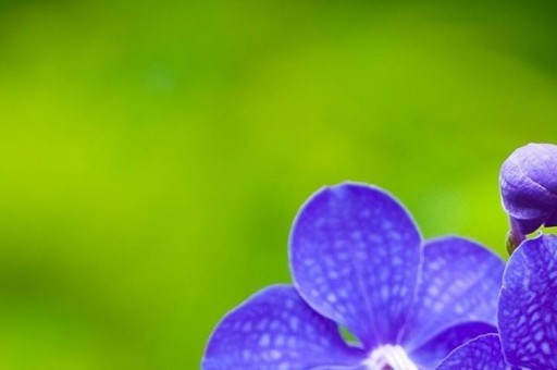 新疆哈什區(qū)號(新疆哈市是哪里) 新疆哈什區(qū)號(新疆哈市是哪里)