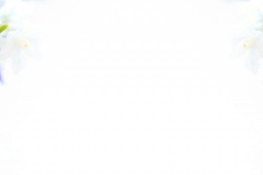 蘋果裝飾的電話號碼(蘋果設置里的電話號碼怎么改) 蘋果裝飾的電話號碼(蘋果設置里的電話號碼怎么改)