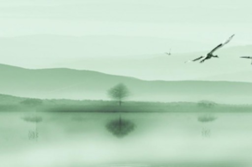 佛山區(qū)號多少（座機號碼查詢）