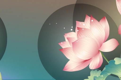 岳陽區(qū)號多（岳陽區(qū)號是多少號碼）