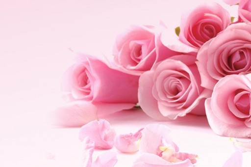 春蘭空調(diào)客服電話（春蘭空調(diào)客服電話號碼）