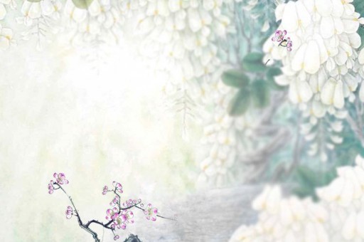 美術(shù)單招時間表(2021年美術(shù)單招時間表) 美術(shù)單招時間表(2021年美術(shù)單招時間表)