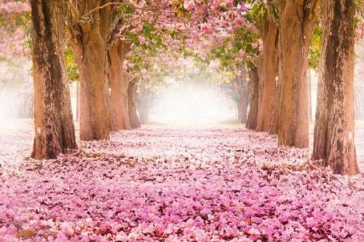 外環限行時間表(外環線限行規定罰款) 外環限行時間表(外環線限行規定罰款)