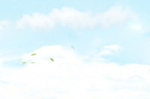 電話線4芯和2芯（電話線4芯和2芯怎么接）