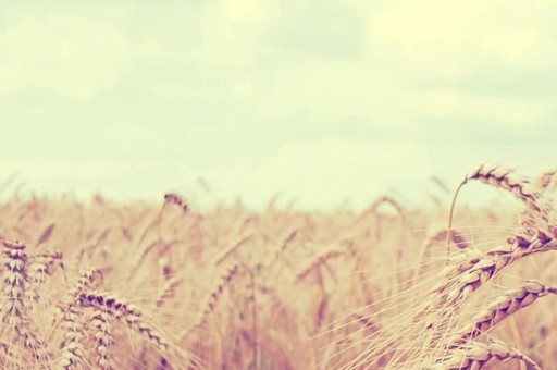 歐派木門客服電話（歐派木門客服電話是多少）