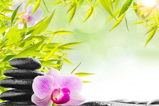 殷桃的個(gè)人資料簡(jiǎn)介（殷桃個(gè)人資料簡(jiǎn)介及老公 個(gè)人簡(jiǎn)歷）