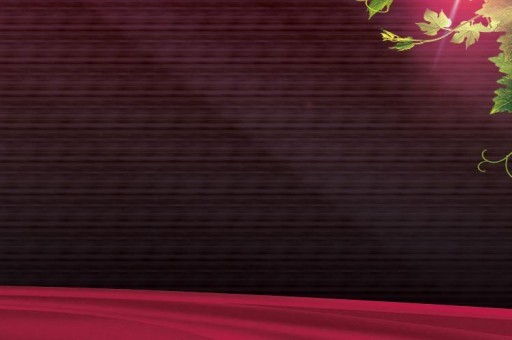 圖森電話（圖森官網(wǎng)）