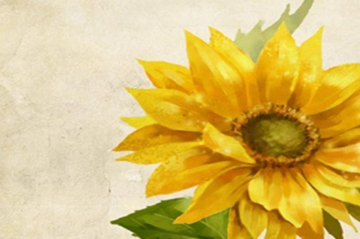 新疆若羌區(qū)號(新疆若羌縣全稱) 新疆若羌區(qū)號(新疆若羌縣全稱)