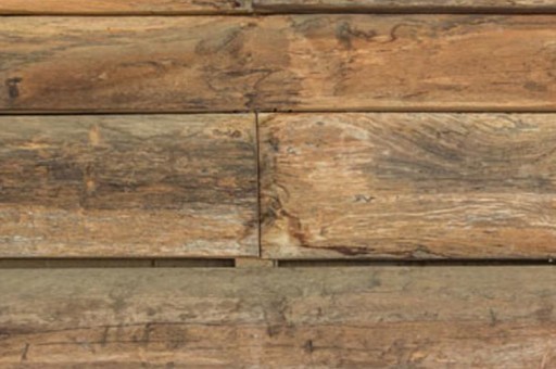 白宇帆個人資料簡介(白宇帆個人資料簡介及家世) 白宇帆個人資料簡介(白宇帆個人資料簡介及家世)