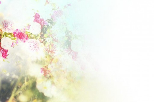 華北科技學(xué)院貼吧（華北科技學(xué)院貼吧計(jì)網(wǎng)考試）