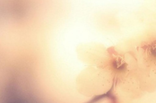 攀成鋼貼吧(成都 攀成鋼) 攀成鋼貼吧(成都 攀成鋼)