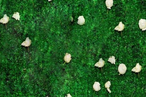 張靚穎個(gè)人資料（張靚穎個(gè)人資料簡介及老公）