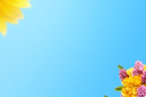 毛曉彤個人資料簡介（關曉彤個人簡介）