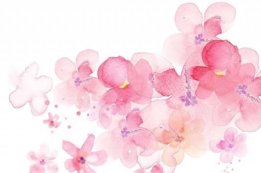 世界上最重的馬2024最新排名前十名對比