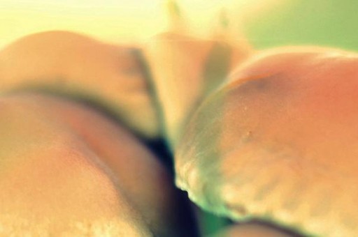 世界最大瀑布排名前十名2024最新排名前十名對比