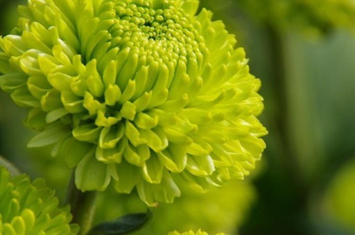 世界十大淡水湖2024最新排名前十名對(duì)比