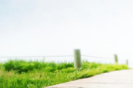 中國(guó)奇石協(xié)會(huì)會(huì)長(zhǎng)電話(中國(guó)奇石協(xié)會(huì)會(huì)長(zhǎng)電話號(hào)碼) 中國(guó)奇石協(xié)會(huì)會(huì)長(zhǎng)電話(中國(guó)奇石協(xié)會(huì)會(huì)長(zhǎng)電話號(hào)碼)