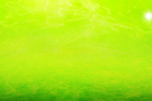 qs亞洲大學排名2014（QS亞洲大學排名發布）