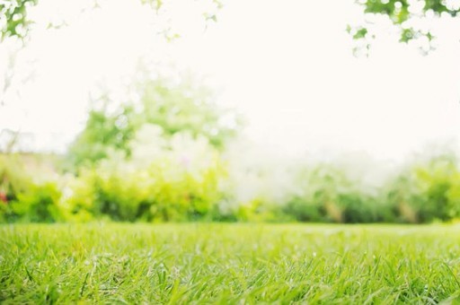 安陽工學院近三年在四川錄取分數線(含2021-2023最低分)