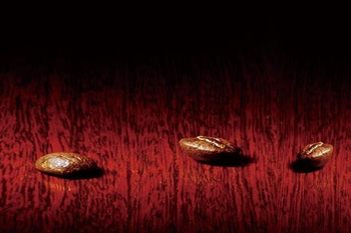 2024內蒙古農業大學錄取分數線：浙江最低483分