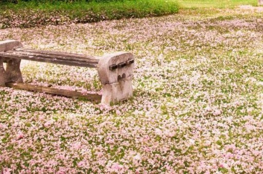 山東科技大學近三年在四川錄取分數線(含2021-2023最低分)