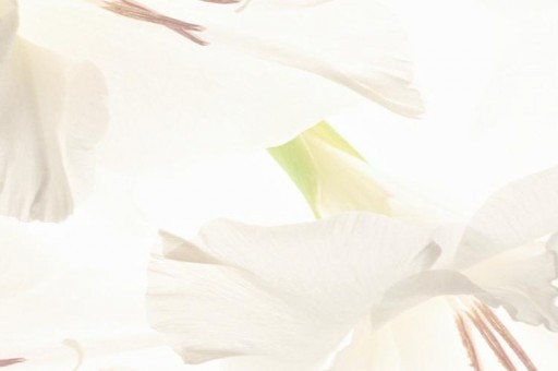 使家居外觀看起來更豪華的五大方式排行榜2025最新排名前十名榜單出爐