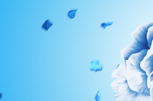 遼寧科技大學好不好？附遼寧科技大學最好的專業排名