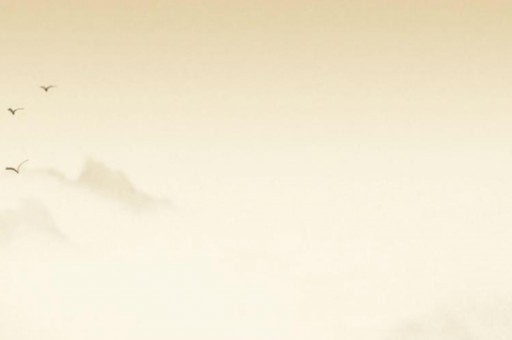 十二星座結(jié)婚后誰特別寵老婆2025近期排名前十名盤點(diǎn)