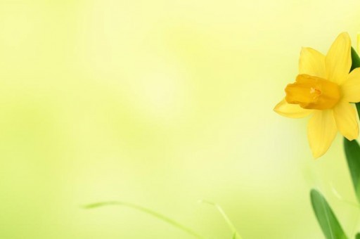 中國留學(xué)生特別愛扎堆的十大國家排行榜2025特別新排名前十名分析