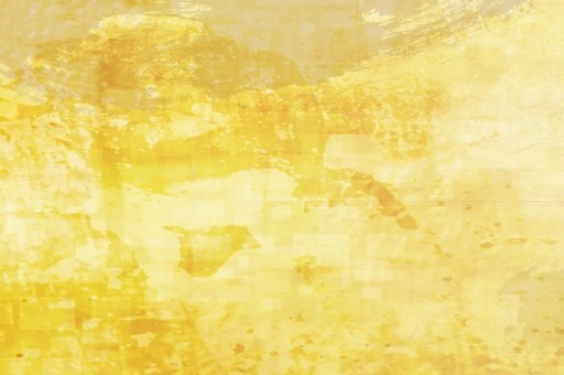 2024年石嘴山工貿(mào)職業(yè)技術(shù)學(xué)院在寧夏計(jì)劃招生人數(shù)（附學(xué)費(fèi)及專業(yè)錄取分)