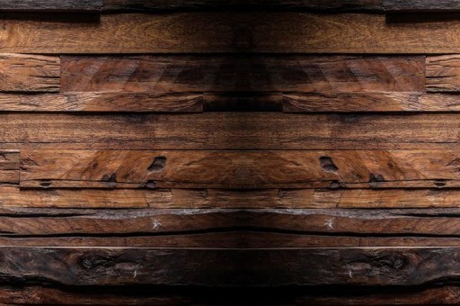 2024年河南科技大學在青海計劃招生人數（附學費及專業錄取分)