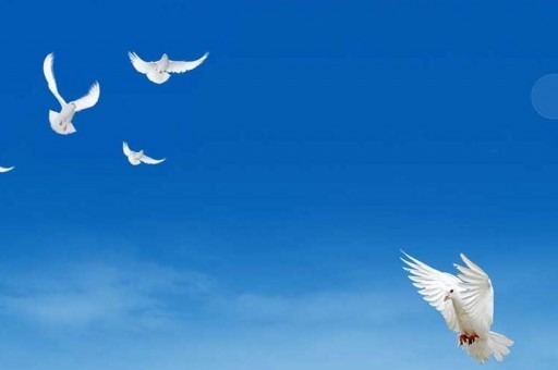 云南民族大學近三年在四川錄取分數線(含2021-2023最低分) 云南民族大學近三年在四川錄取分數線(含2021-2023最低分)