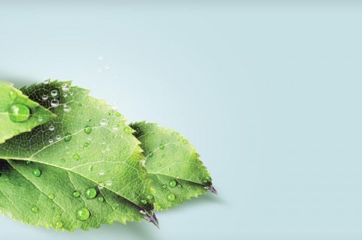 盤點史上十大特別性感的飛機2025特別新排名前十名分析 盤點史上十大特別性感的飛機2025特別新排名前十名分析